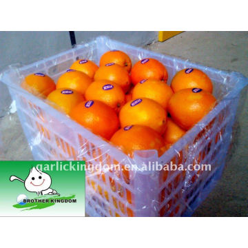 Navel naranja fresco en cesta de plástico de 15 kg